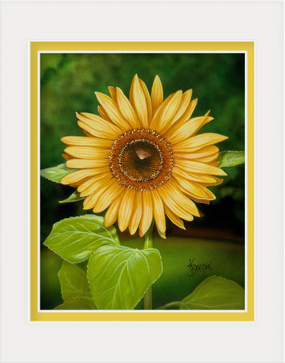 No Place Like Home (Sunflower)