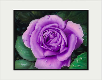 Spring Royalty (Purple Rose)