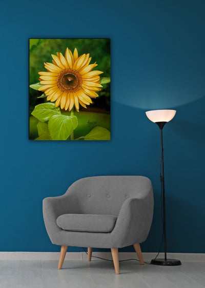 No Place Like Home (Sunflower)